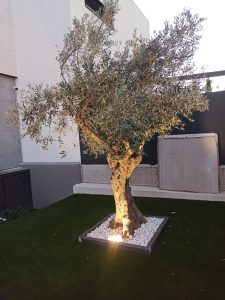 Instalación iluminación jardín en Boadilla